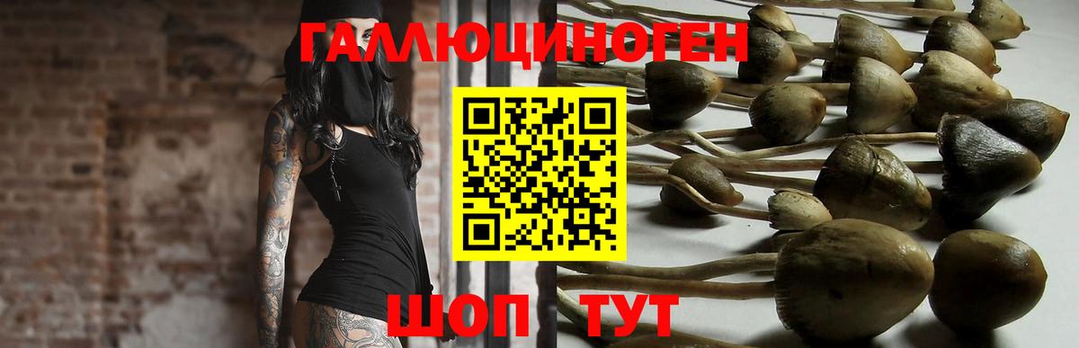 Псилоцибиновые грибы прущие грибы Воркута